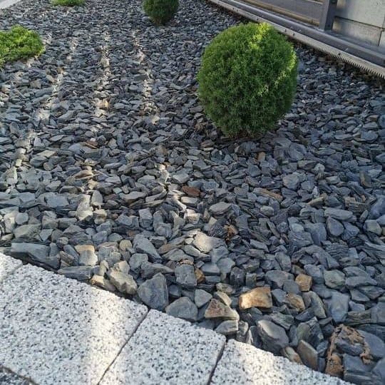 kora kamienna Kraków